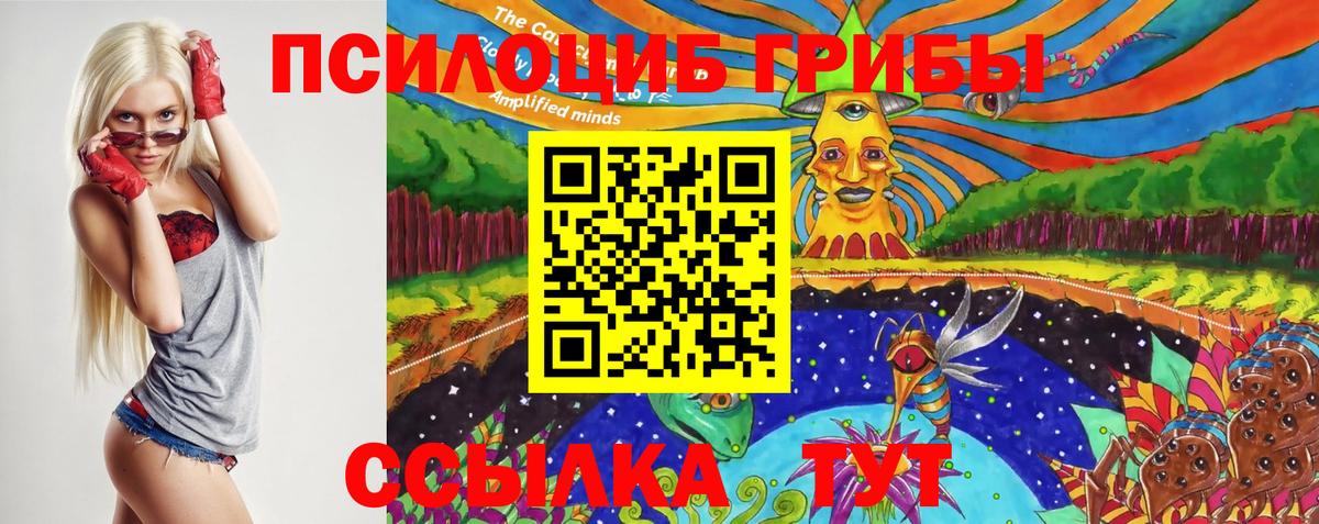 наркота  Псилоцибиновые грибы Psilocybe  Вход с VPN  Гагарин 